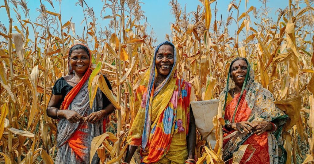 Happy women in vibrant saris harvesting corn in rural Odisha, India.